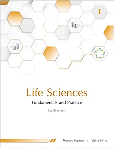 31imsrL5IGL._SX384_BO1,204,203,200_