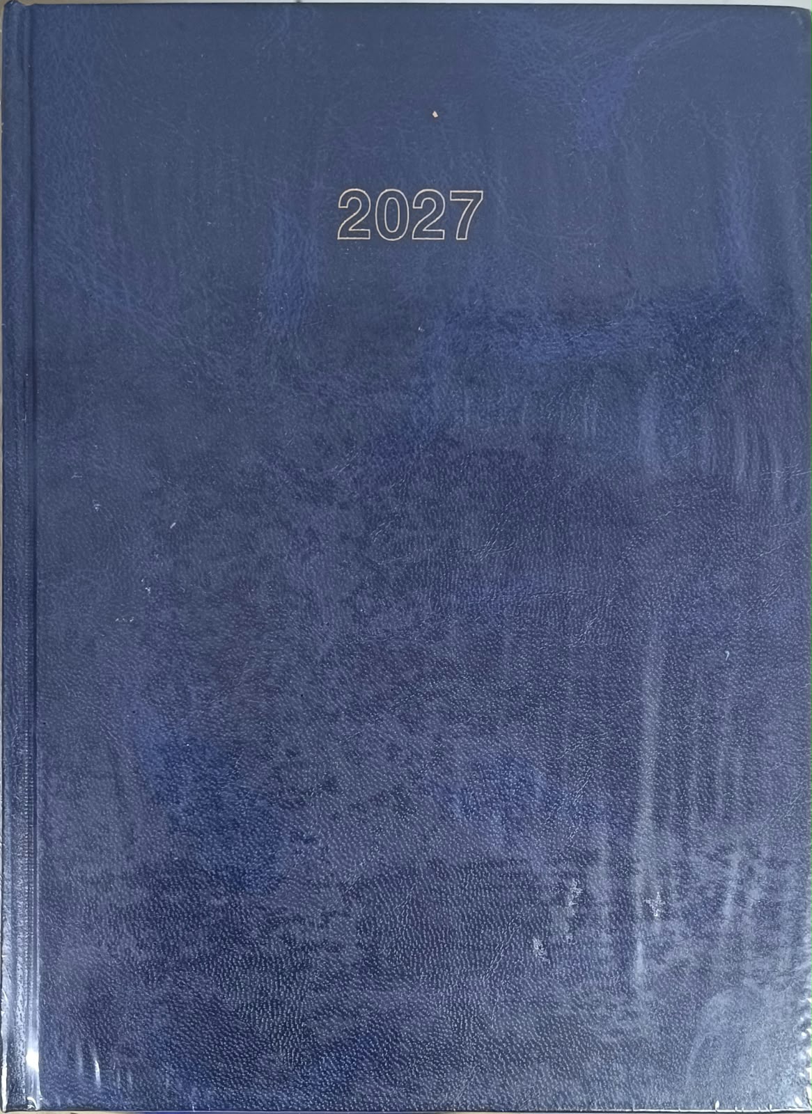 Eagle Project Diary 2027 HBX (8901251720063)