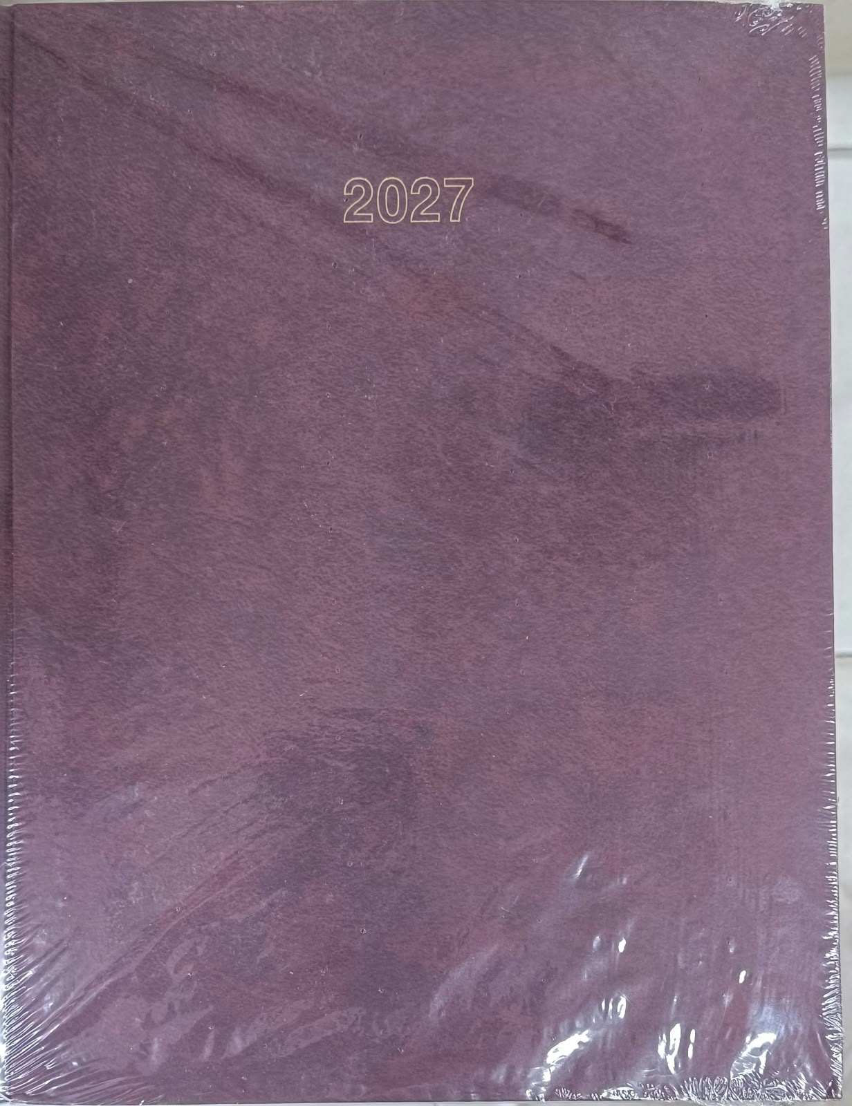 Eagle Business Diary 2027 HBX (8901251700065)