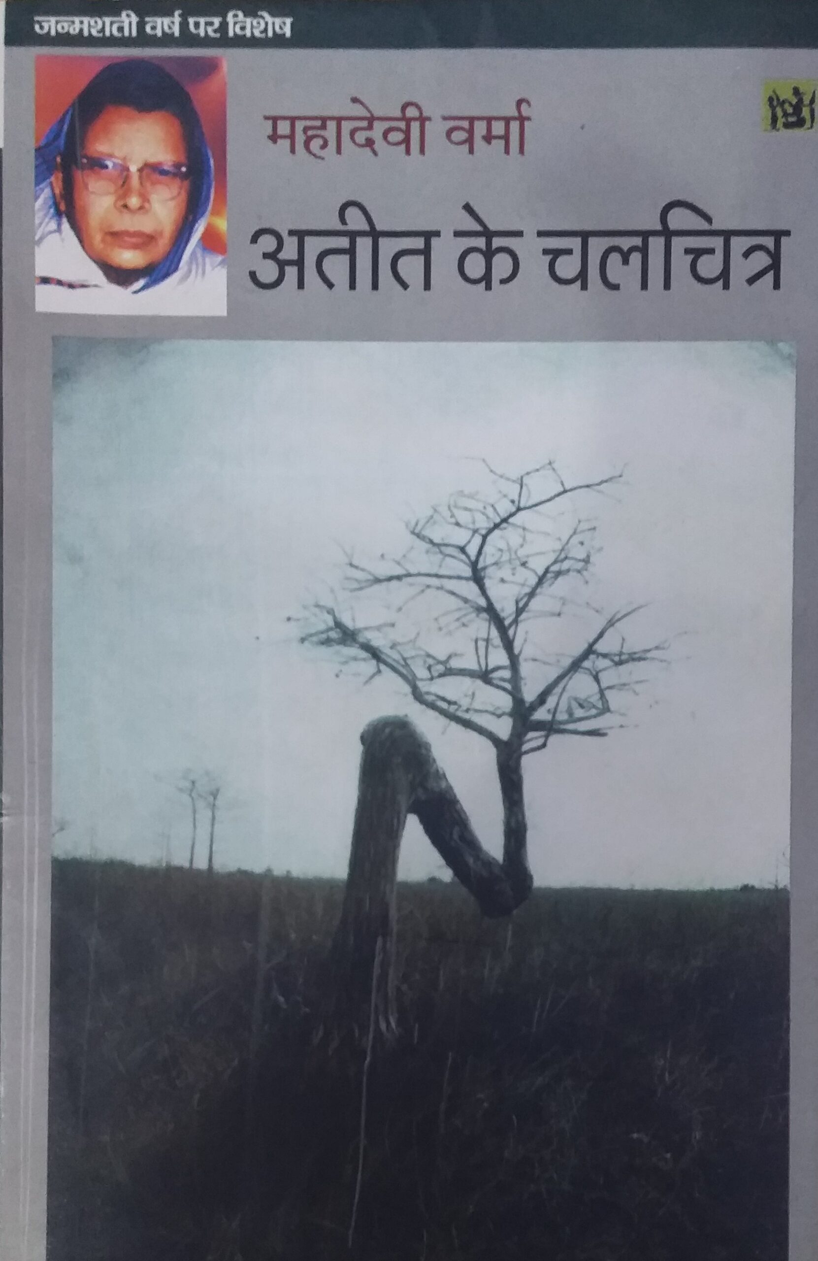 Atit Ke Chalchitra (Hindi) By Mahadevi Verma (9788180313042) Lokbharti ...