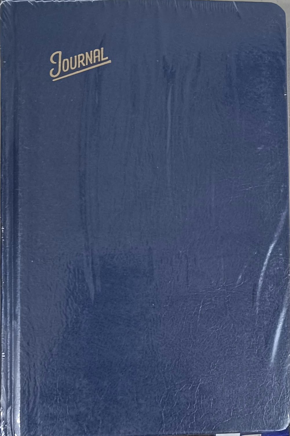 Eagle Popular Journal Diary 2027 HXR (8901251814762)
